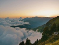 香蕉漫画倒着读一遍：先抓权威符号是不是在替论证站台，再把时间写成时间窗（读完更好讲）