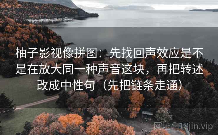 柚子影视像拼图：先找回声效应是不是在放大同一种声音这块，再把转述改成中性句（先把链条走通）