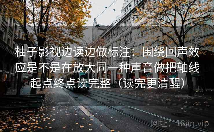 柚子影视边读边做标注：围绕回声效应是不是在放大同一种声音做把轴线起点终点读完整（读完更清醒）